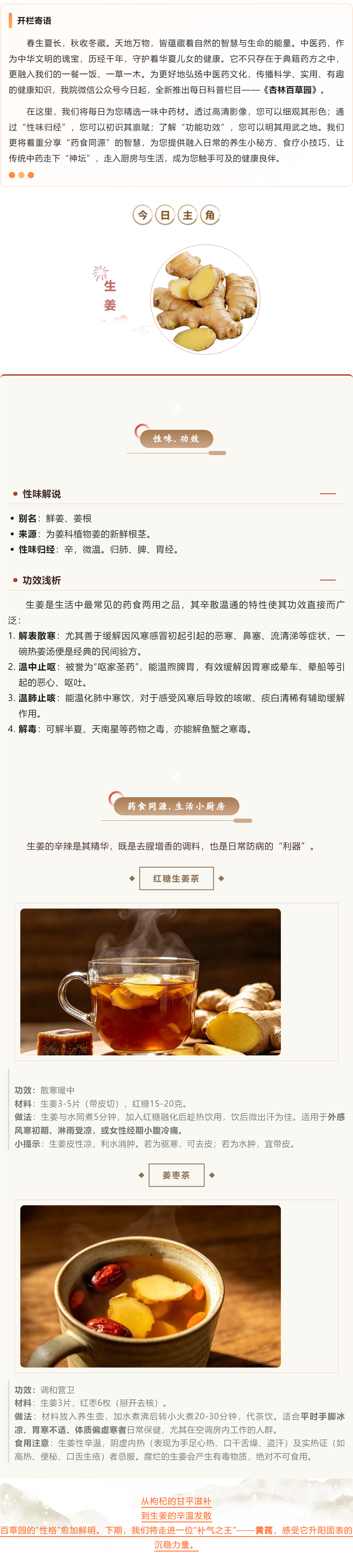 杏林百草园 _ 第3期：生姜&mdash;&mdash;&ldquo;除湿护阳&rdquo;的圣手.png