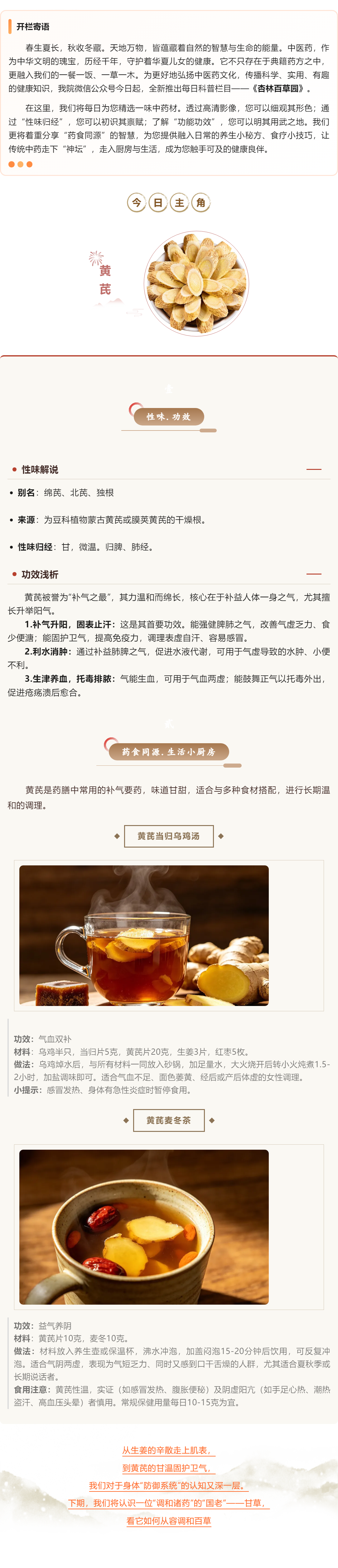 杏林百草园 _ 第4期：黄芪&mdash;&mdash;补气固表的&ldquo;补药之长&rdquo;.png